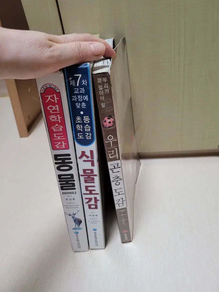 thumbnail-1